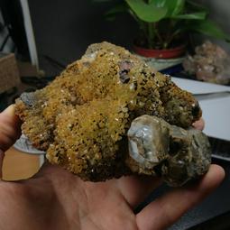 六班礦用隔爆型急停按鈕BZA1-5/36J(A) 掘進機採煤機按鈕鑄鋼材質 歷史價格詳細信息