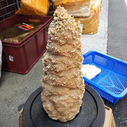 EA157 日本平成15年2003年《 プロ野球-優勝紀念 》紀念套幣 共2盒 歷史價格詳細信息