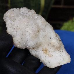 礦業馬達警報器 MS-590報警器 高分貝喇叭 大功率雙向防空報警器 歷史價格詳細信息