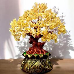 好牧人6專用音效卡設備全套手機電腦主播錄音話筒歌唱汪爪 歷史價格詳細信息