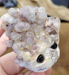 【超可愛療癒系】【Disney】Tsum Tsum 17吋米妮娃娃 歷史價格詳細信息