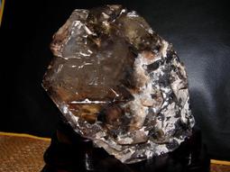 超優質凡賽斯Gianni Versace 絨布西裝 深綠色 義大利製 歷史價格詳細信息