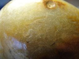 《紀老師的盆栽與收藏》〈玉原石系列〉&rarr;海洗朱砂雞血紅鳳凰虎斑紫玉髓〈500公克&rarr;186-C59    (聚氣、招財、保平安、心想事成) 歷史價格詳細信息