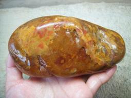 《紀老師的盆栽與收藏》天然海洗龍飛鳳舞綣花魚卵鳳凰海草紫玉髓〈650公克&rarr;181-U84     ※天然玉石有--與生俱來的正能量! 歷史價格詳細信息