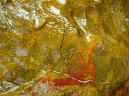 海能量生機護膚潔面露 350g X2入 歷史價格詳細信息