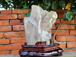 【鱷魚】強效防蚊組合+贈鱷魚電蚊香器1組(有效預防登革熱) 歷史價格詳細信息