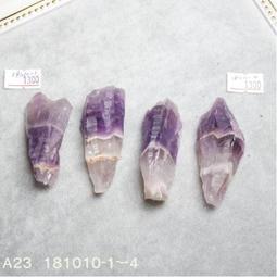 目前最火熱的蟻人 親簽球衣 有官方認證 歷史價格詳細信息