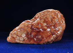 《※精品水晶※》玉質化龍宮舍利 血舍利 R180402 專售：鈦晶 碧璽 天珠 舒俱徠 晶球 晶柱 紫晶洞 聚寶盆 價格比較,價格查詢,歷史價格詳細信息