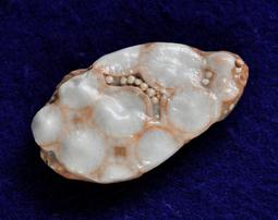 《※精品水晶※》能量至寶 - 透亮鈦金紫晶簇/紫水晶簇R180507專售 鈦晶 碧璽 天珠 舒俱徠 晶球 晶柱 紫晶洞 歷史價格詳細信息