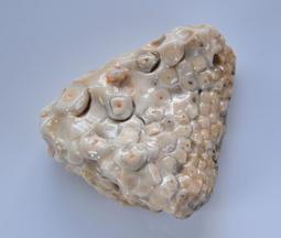 《※精品水晶※》龍宮舍利胸墜 C191104 鈦晶 碧璽 天珠 舒俱徠 晶球 晶柱 紫晶洞 聚寶盆 骨幹水晶 激光水晶 歷史價格詳細信息