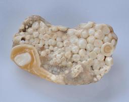 《※精品水晶※》龍宮舍利胸墜 C191104 鈦晶 碧璽 天珠 舒俱徠 晶球 晶柱 紫晶洞 聚寶盆 骨幹水晶 激光水晶 歷史價格詳細信息