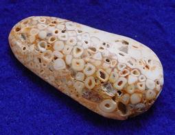 《※精品水晶※》龍宮舍利胸墜 C191104 鈦晶 碧璽 天珠 舒俱徠 晶球 晶柱 紫晶洞 聚寶盆 骨幹水晶 激光水晶 歷史價格詳細信息