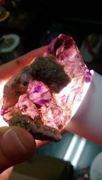 ~沐光之境~雙尖水晶 單尖水晶 白水晶 小顆透亮完整  ~擺陣 水晶排列 療癒萬用組合 歷史價格詳細信息