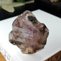 【8g】嬌潤泉 羽感水漾防曬乳 SPF50+ 防曬乳 防曬霜 TNAE73 歷史價格詳細信息