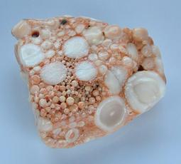 《※精品水晶※》龍宮舍利 貔貅墜 C200417 專售：鈦晶 碧璽 天珠 舒俱徠 骨幹水晶 晶球 晶柱 紫晶洞 聚寶盆 歷史價格詳細信息