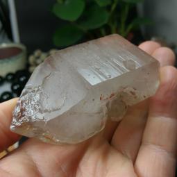 友情 60公升兩層不鏽鋼烘碗機/紫外線烘碗機 PF-3732 歷史價格詳細信息