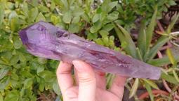 ~沐光之境~雙尖水晶 單尖水晶 白水晶 小顆透亮完整  ~擺陣 水晶排列 療癒萬用組合 歷史價格詳細信息