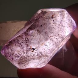 骸骨花園 泰絲 格里森 喀邁拉空間 漂離的伊甸作者 春天 A07 歷史價格詳細信息