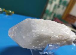 波羅葛各式敬果盤-滿599免運 歷史價格詳細信息