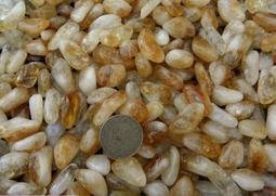 進口黃麻蒲團坐墊臥室地上榻榻米墊打坐拜佛墊加厚禪修墊藤編跪墊 歷史價格詳細信息