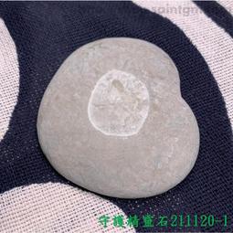 【精靈守護者】DVD彩色光盤 歷史價格詳細信息