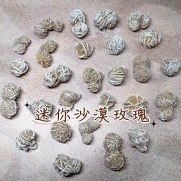 沙漠玫瑰，怎麼開花：龍應台演講集（上）/龍應台【城邦讀書花園】 歷史價格詳細信息