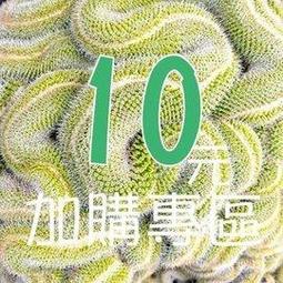 加購專區-100元 歷史價格詳細信息