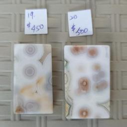 19~20世紀植物圖鑑：從200多幅植物剖析掛畫認識植物學的世界/安娜．羅倫【城邦讀書花園】 歷史價格詳細信息