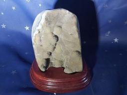 巴巴象試用裝護級臻芯尿不溼萌芯紙尿褲拉拉褲試用裝單片獨立裝 歷史價格詳細信息