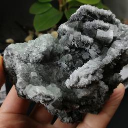 F6128 加安防火門專用鎖 715mm 烤漆平推鎖 安全門鎖 逃生門 檢修門 百貨公司 歷史價格詳細信息