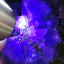 FB126 平成17-18年2005-2006年 造幣局套幣 櫻花季《 紅華+大手毬 》含銀章2枚 歷史價格詳細信息