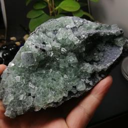 FB126 平成17-18年2005-2006年 造幣局套幣 櫻花季《 紅華+大手毬 》含銀章2枚 歷史價格詳細信息