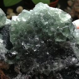 FB126 平成17-18年2005-2006年 造幣局套幣 櫻花季《 紅華+大手毬 》含銀章2枚 歷史價格詳細信息