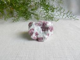 【2075水晶礦石】巴西黑碧璽原礦 -12-1017 歷史價格詳細信息