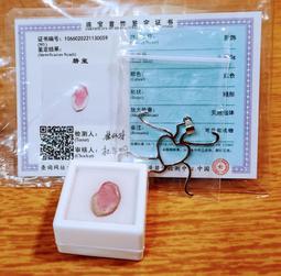 天然西瓜碧璽吊墜，西瓜碧璽人魚色吊墜.8*8.7*5.2mm老物件收藏 全場現貨免運B3 歷史價格詳細信息