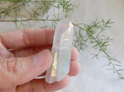 巴西木水培幸運木帶芽發貨小盆栽室內辦公室桌面水養懶人植物擺件 歷史價格詳細信息