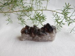 0502停【DA303】編髮器 尖尾梳 1組2入 花樣盤髮器 花樣穿髮棒 編髮棒 梳子 編織器 歷史價格詳細信息