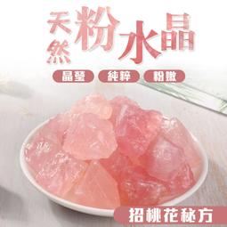 粉紅可愛狗 後背包 前後三層設計 側邊可放雨傘水壺 歷史價格詳細信息