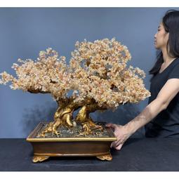 廣生堂 開心爸爸國王節 君燕幸福燕窩飲75ML 15入禮盒 送燕窩女寶膏30入1盒 歷史價格詳細信息