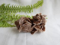 玫瑰7【Double day-台灣拍板/TAW10】FORMOSA系列 玫瑰7純木刀板桌球拍(FL拍)單板/7夾板 歷史價格詳細信息