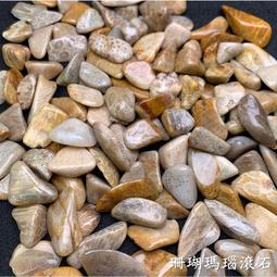魅力珊瑚BOB 驚豔纖長 睫毛膏 防水捲翹濃密曲線刷頭不暈染彩妝不易脫妝【夏沫美妝甄選】 歷史價格詳細信息