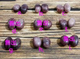 &. 紫愛水晶 &. 天然意象水晶手鍊 每珠直徑約9mm 手圍約16cm 歷史價格詳細信息