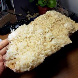 EA157 日本平成15年2003年《 プロ野球-優勝紀念 》紀念套幣 共2盒 歷史價格詳細信息