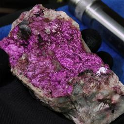 EM101A【貓腳印】《庫洛魔法使》木之本櫻｜小櫻 冬裝｜冬季外套｜Cosplay.Cos 歷史價格詳細信息