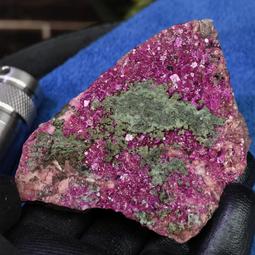 EM146 櫃內隱藏電動電視升降機 承重50kg液晶電視壁掛架升降架 TV壁掛架 65吋 歷史價格詳細信息