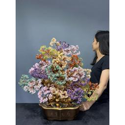 廣生堂 開心爸爸國王節 君燕幸福燕窩飲75ML 15入禮盒 送燕窩女寶膏30入1盒 歷史價格詳細信息