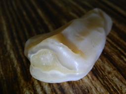 紫愛水晶 ~ 彩虹蝶舞～天然星光粉晶球 直徑約26mm  重約30g（贈水晶球專用壓克力底座） 歷史價格詳細信息