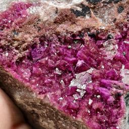 EM146 櫃內隱藏電動電視升降機 承重50kg液晶電視壁掛架升降架 TV壁掛架 65吋 歷史價格詳細信息