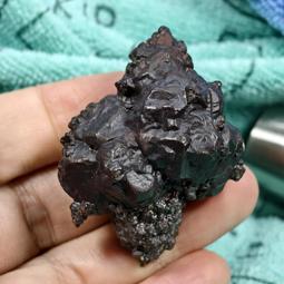 49-3好書321【推理小說】白城魔鬼-奇蹟與謀殺交織的博覽會-漫遊者出版 歷史價格詳細信息