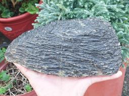 &sect;能量礦石&sect; 新疆和田玉和闐玉 且末縣二級羊脂玉331g 編號14 歷史價格詳細信息